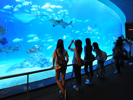 國立海洋生物博物館